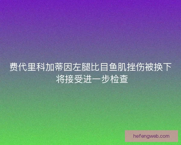费代里科加蒂因左腿比目鱼肌挫伤被换下 将接受进一步检查